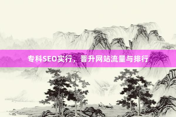 专科SEO实行，晋升网站流量与排行